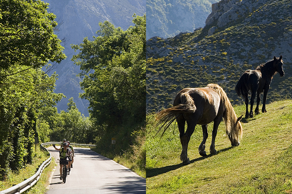 Liebana scenes